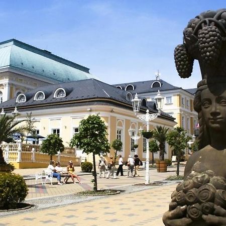 Penzion U Modreho Slona Františkovy Lázně 외부 사진